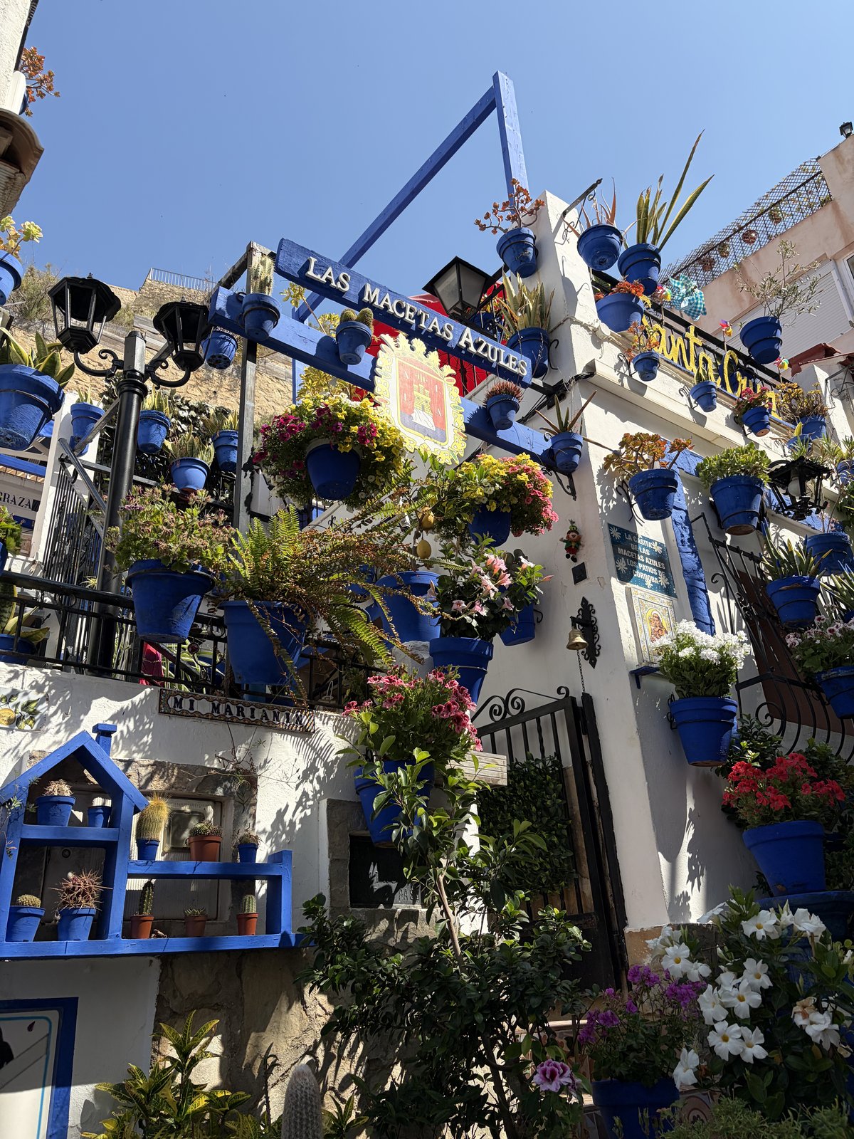 Las Macetas Azules — modré kvetináče